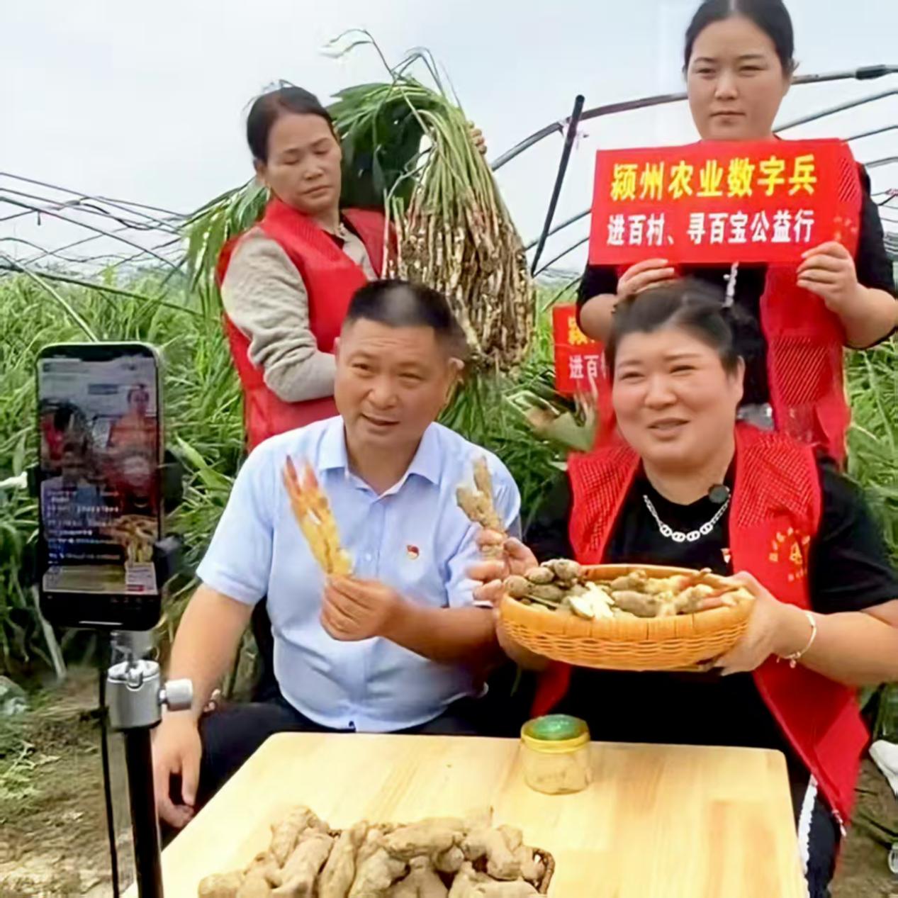 3f996bfdad94a2f05b075fc28d5c17fd