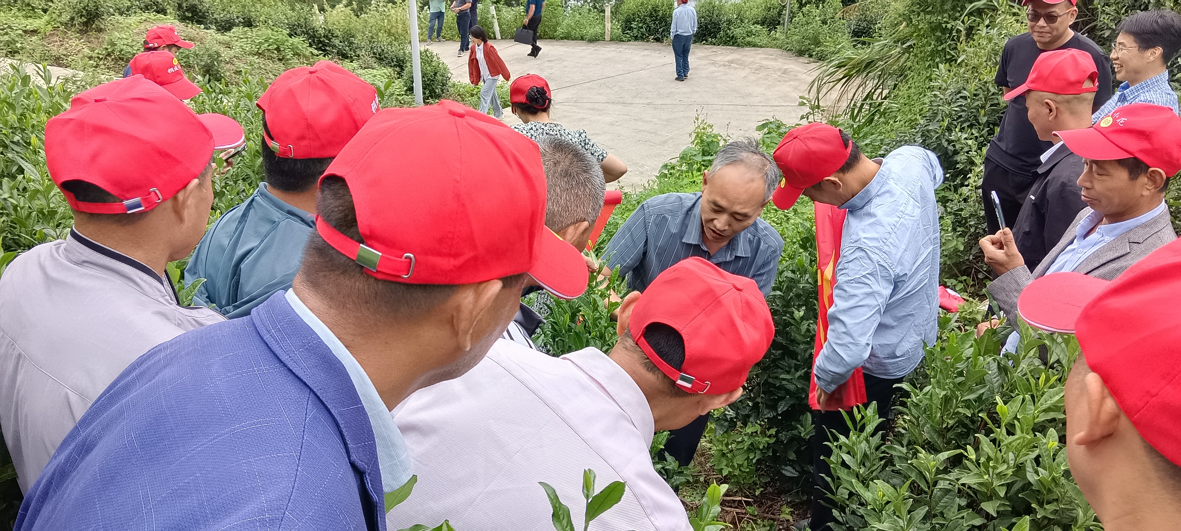 18ac7bb63a049cfa79084815e4d1cf56