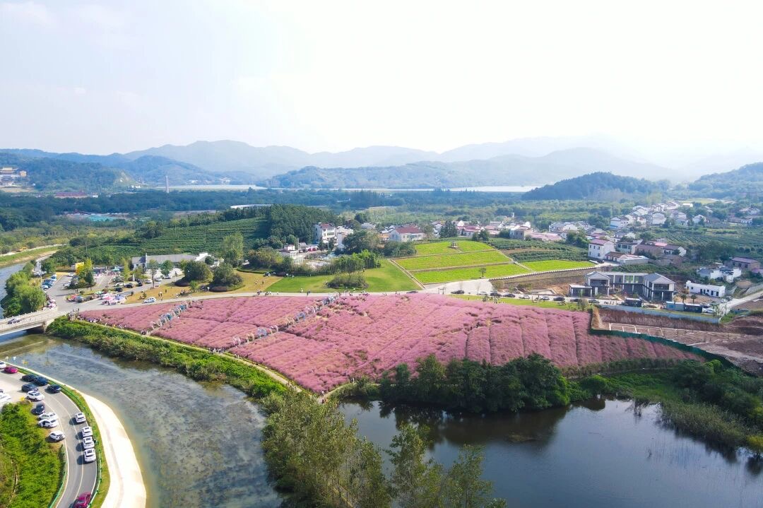 45c4ad54f4fec2811ef3d6488c848107