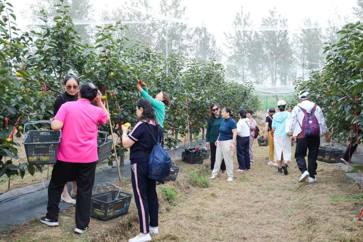 微信图片_20250922161433