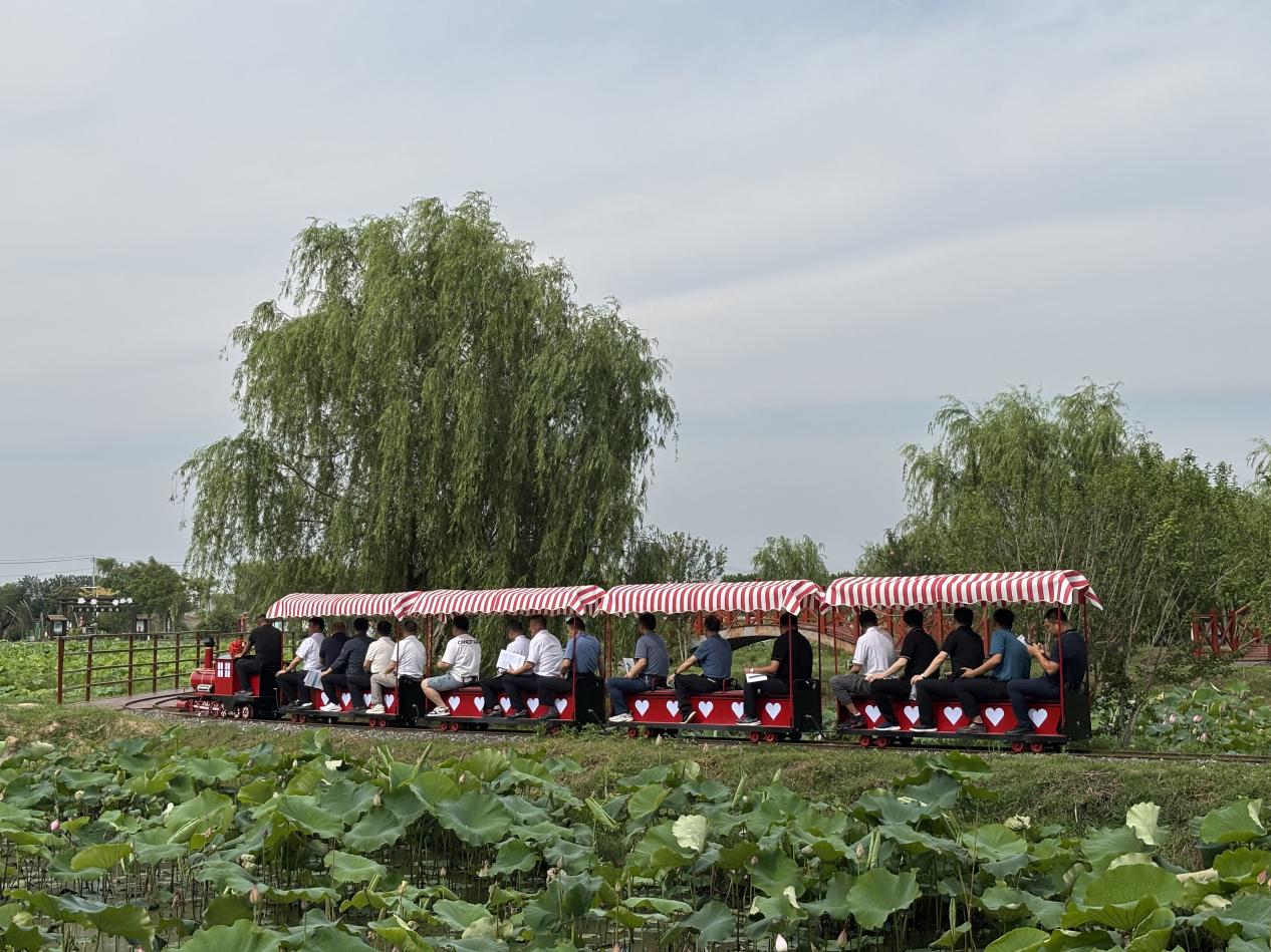 d0dd6f2b02b0cfc815fa02707c5af77b