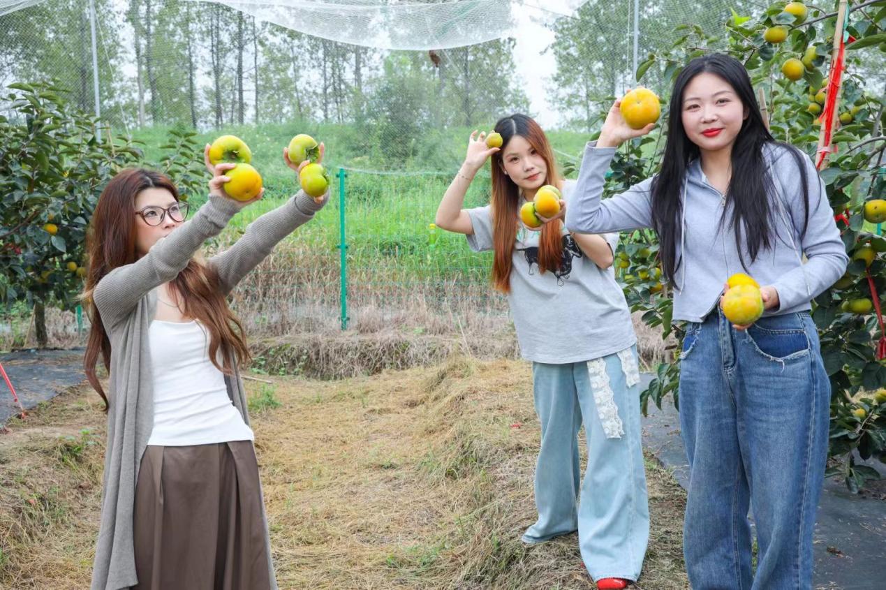 微信图片_20250922161430