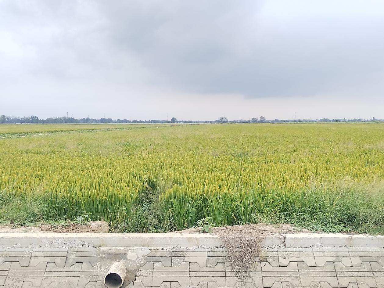 微信图片_20250923164412