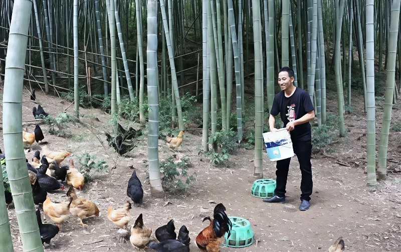 6fcf1339a1991a989cefb93771357503