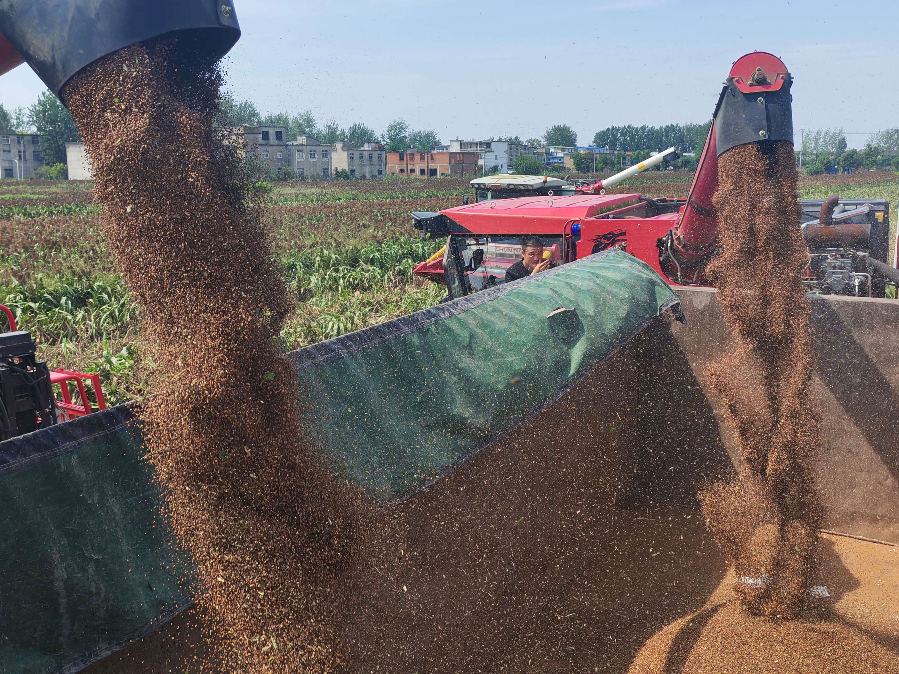 3e82ded6b92e0a6f173cf3609db398ee