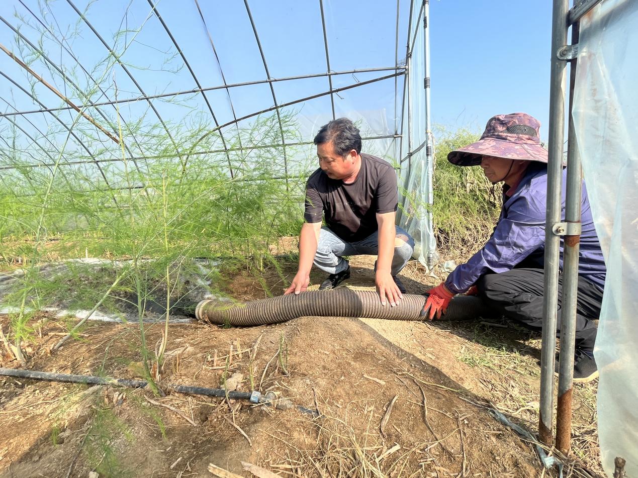 b00110691134fc4ca25c11634d9278d9