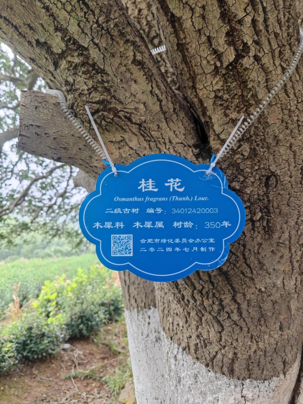 e618567fa216bf648c1566a0f1d4b4e