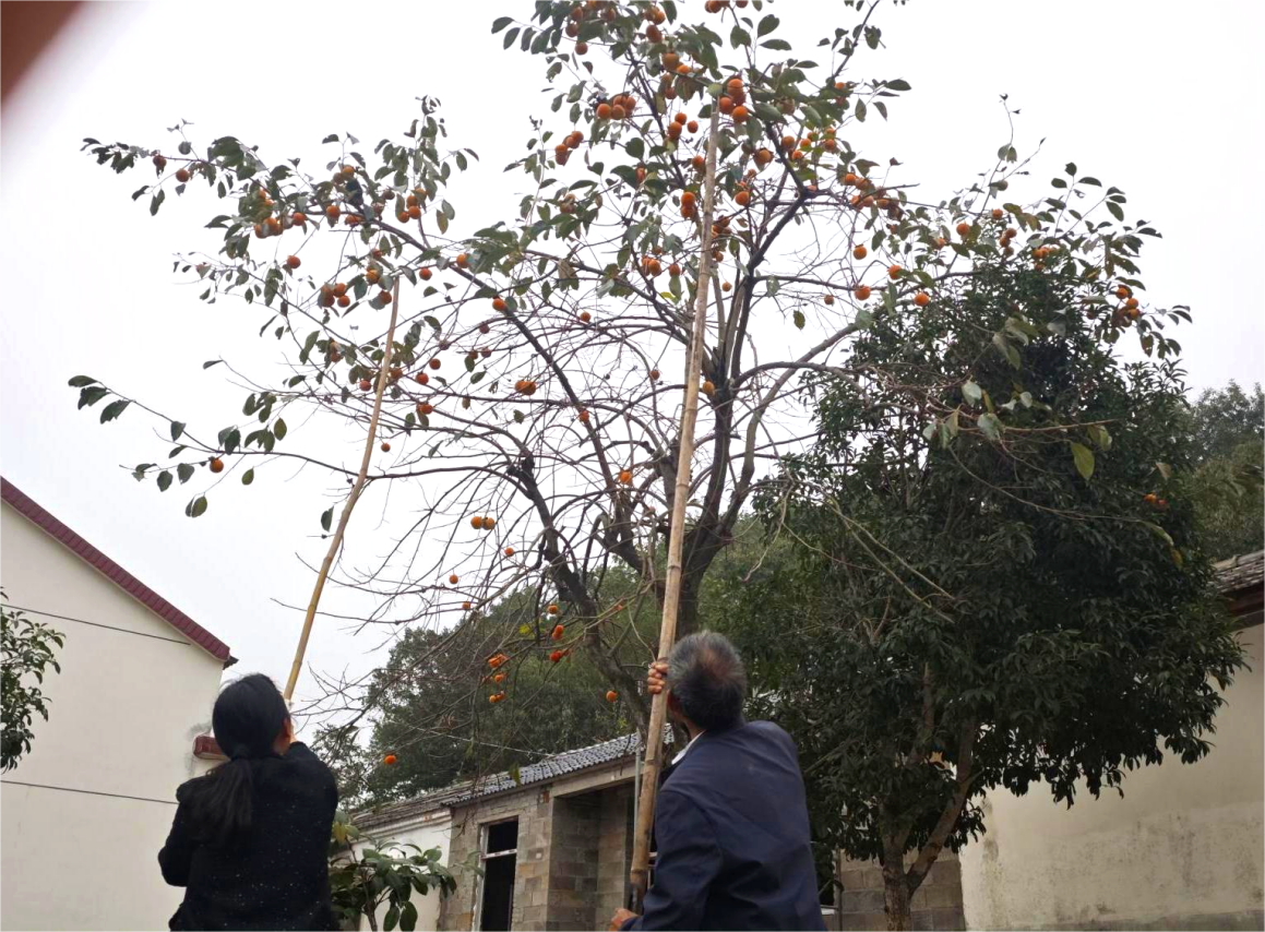 625cc27280e104cf970b8a39f6909838