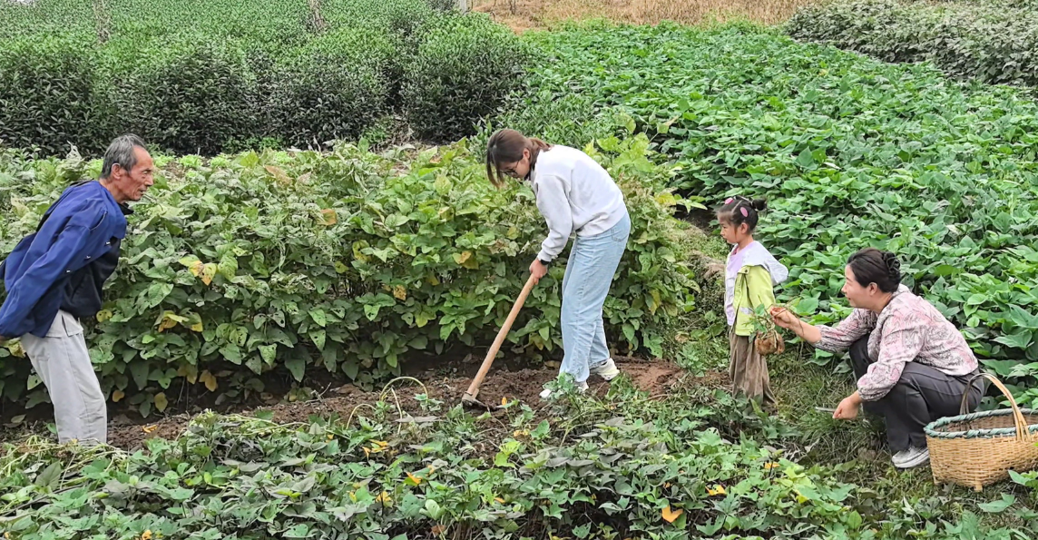 9788ddea-ebd5-4ab3-9a08-178e8ecb4f0a