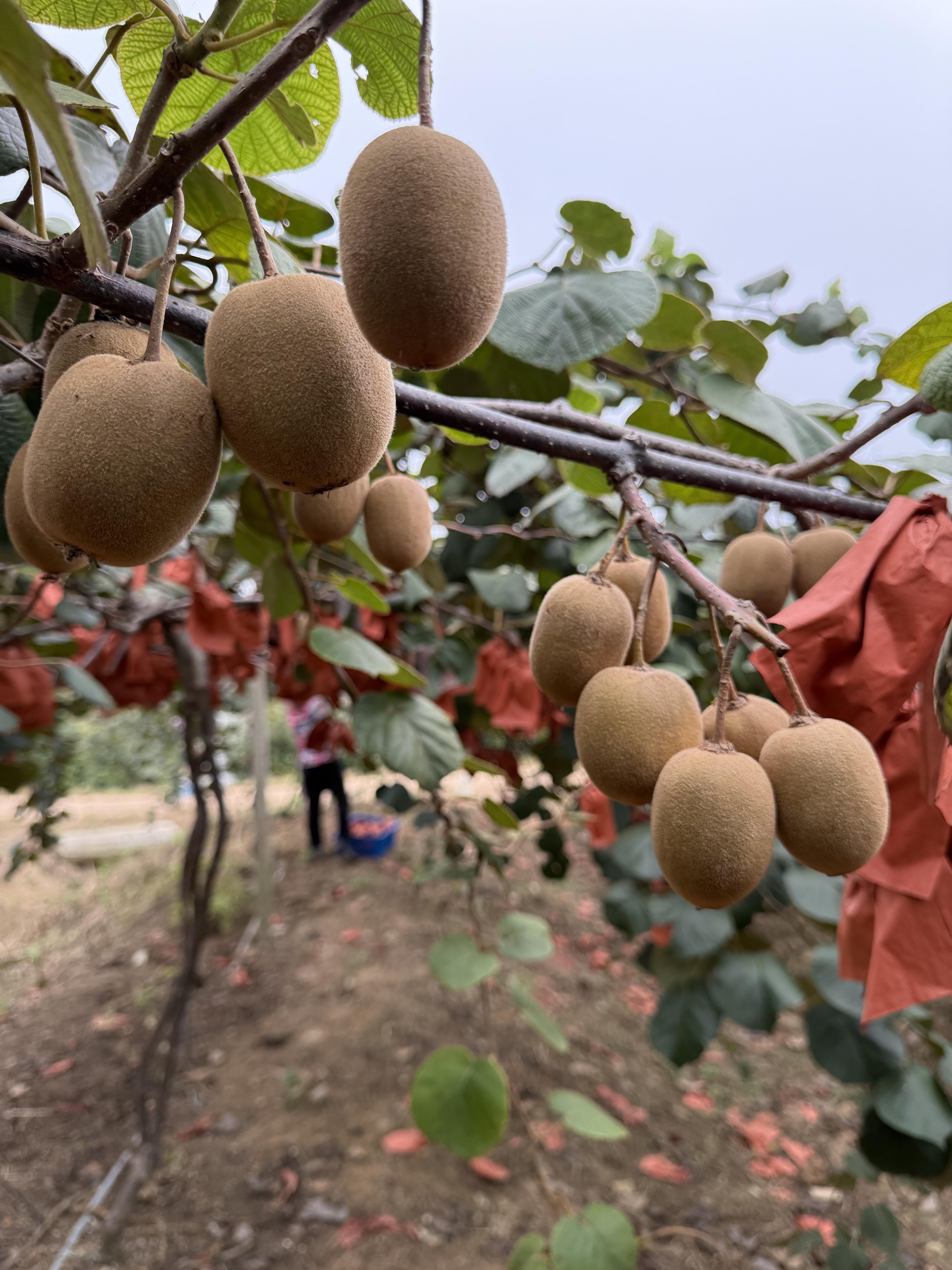 微信图片_2025-10-15_162321_309