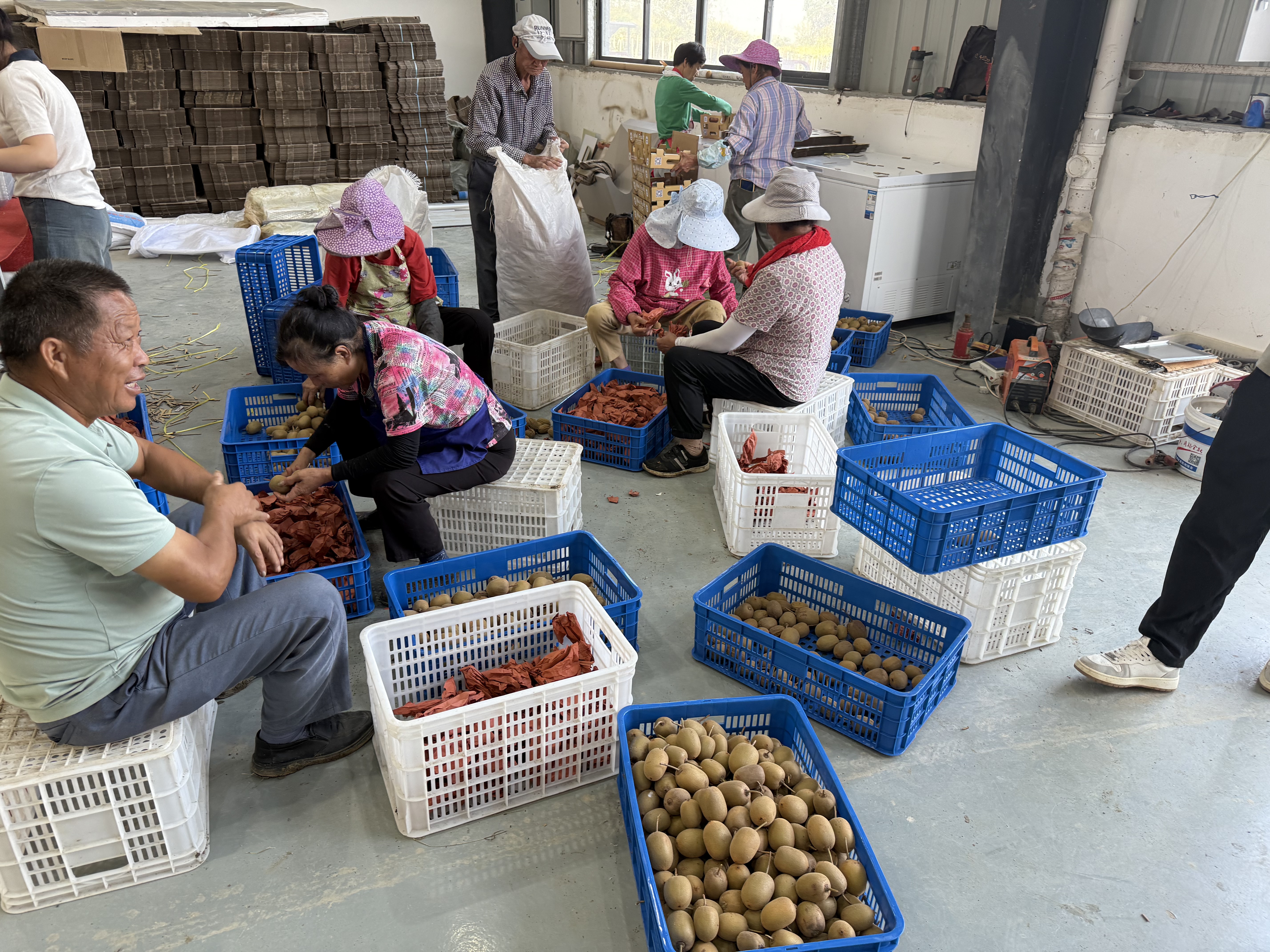 微信图片_2025-10-15_162433_845