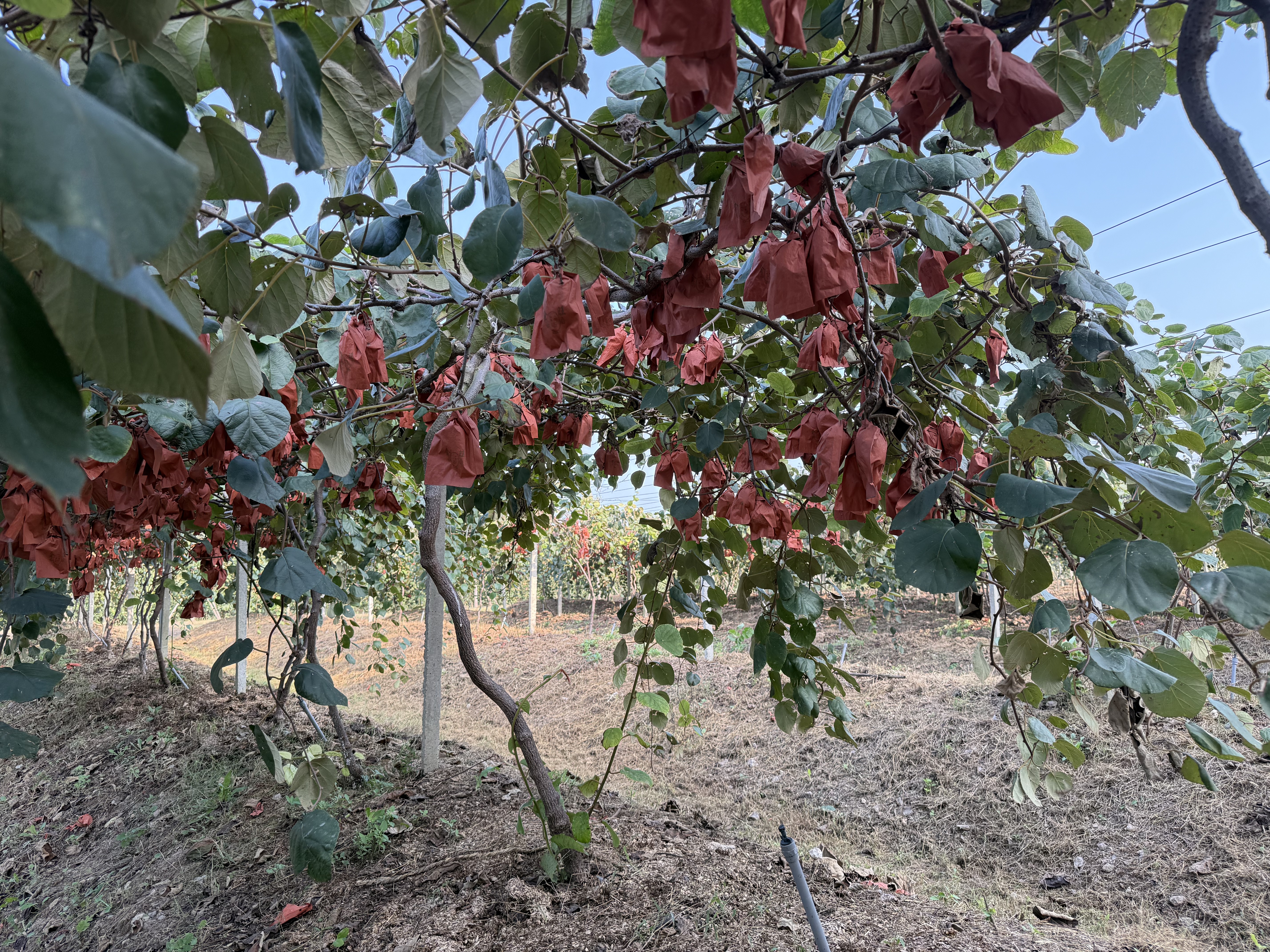 微信图片_2025-10-15_162437_343