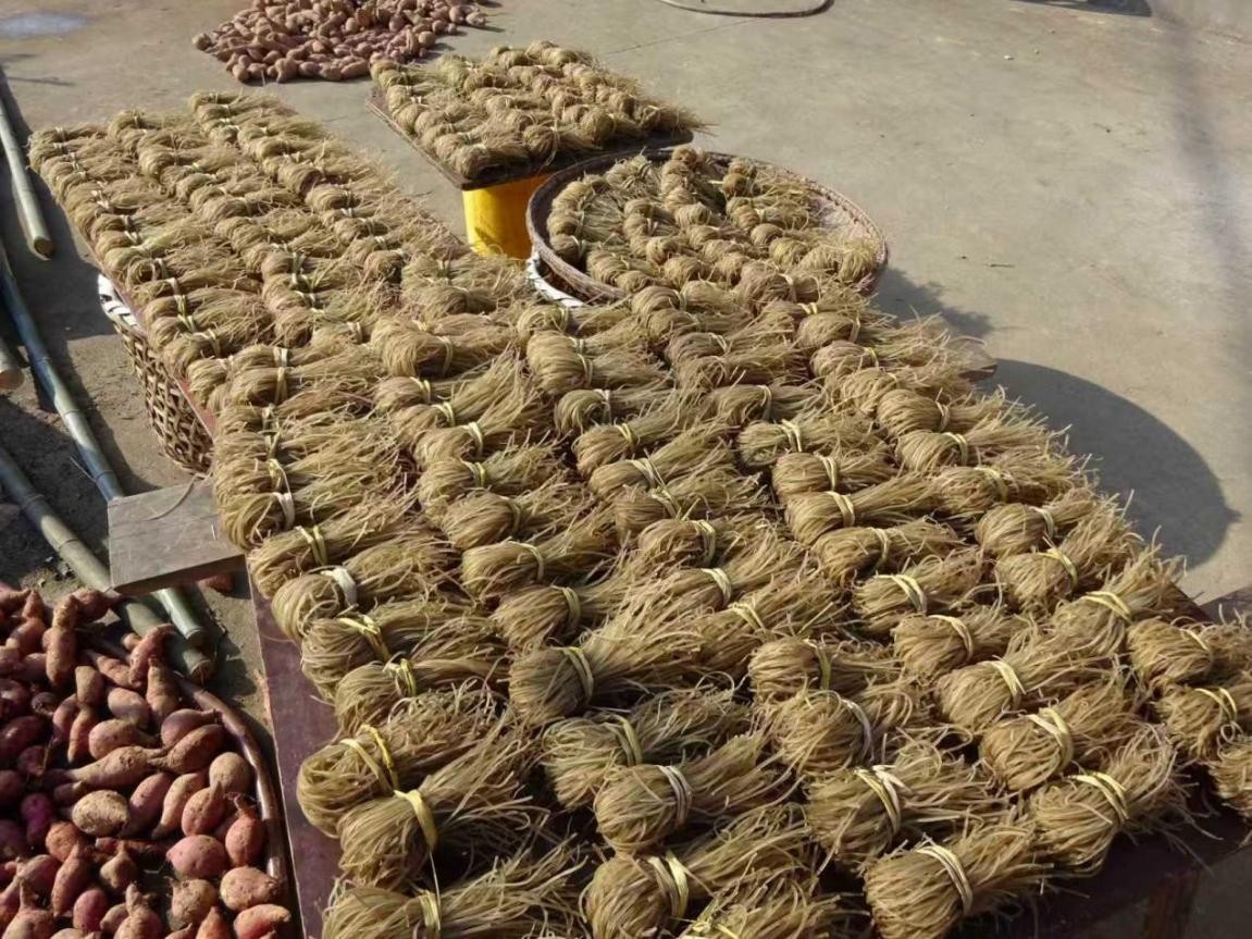 f956c5558768dd64b2fcfc596a877870