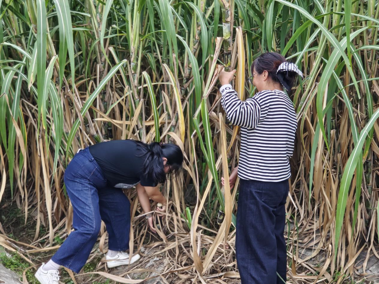 7859404768c5c3dd13f3b7ef183ed03