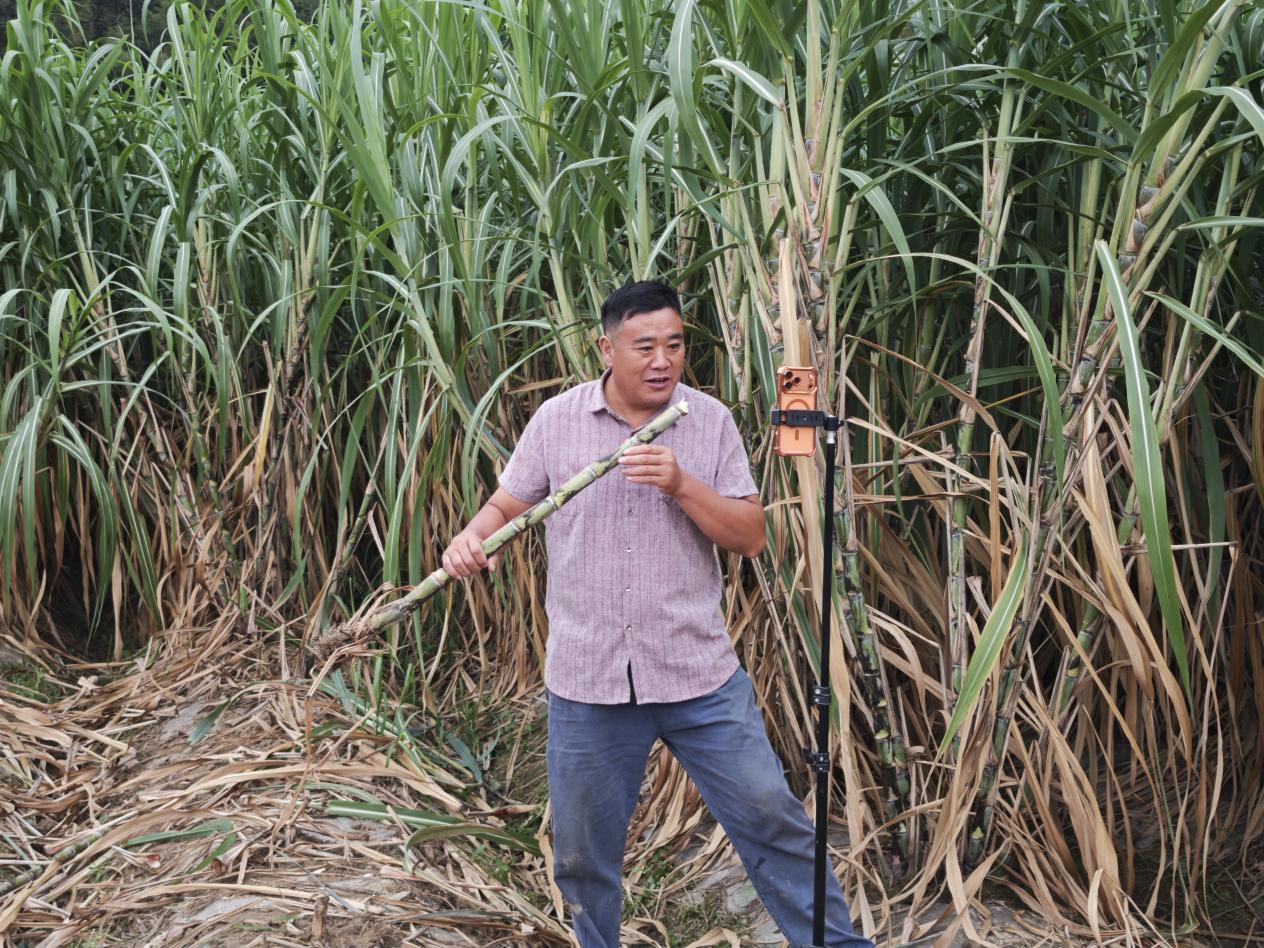 2dc6f49c6a716013f67b2093bf22dea