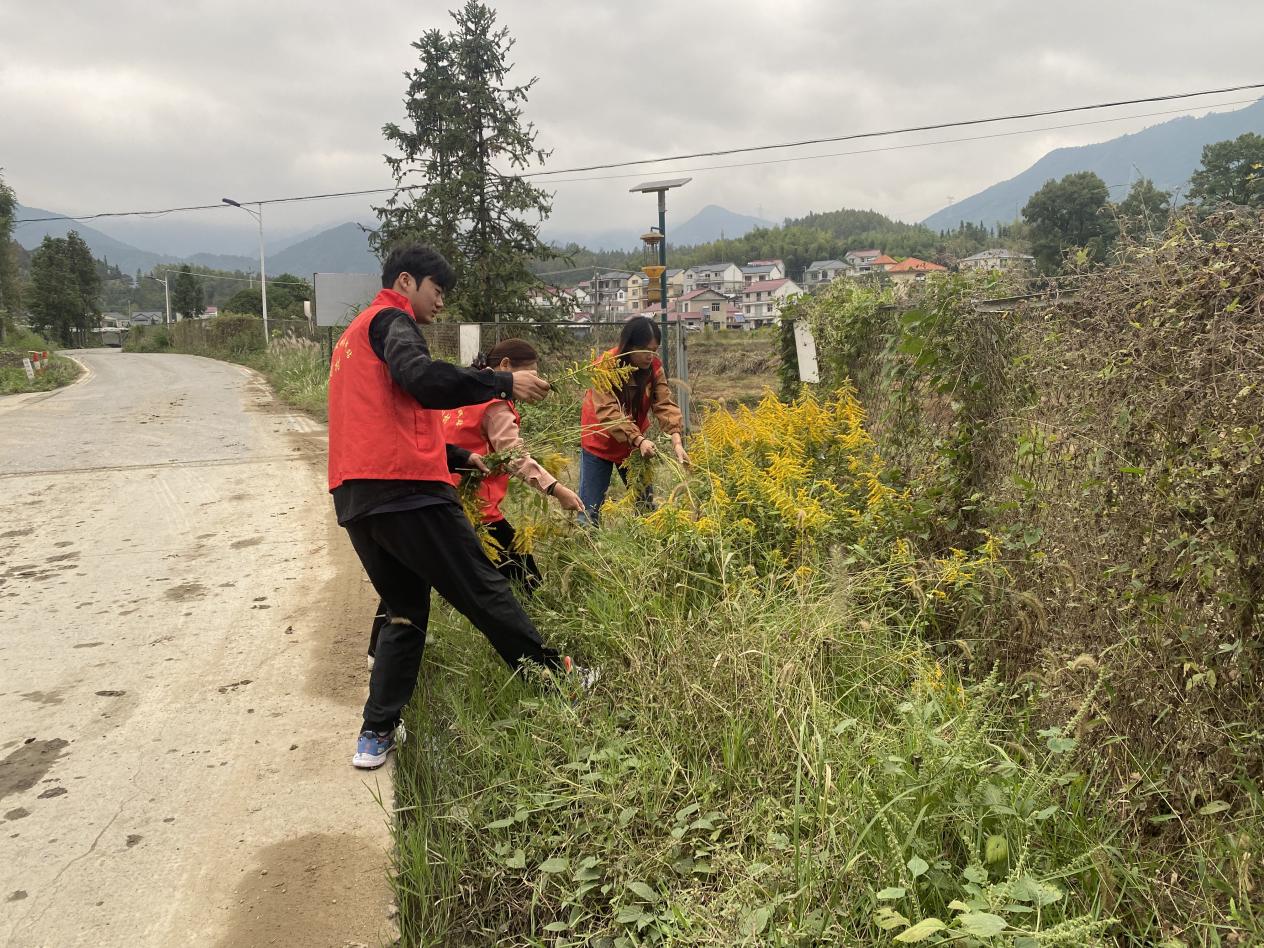 a9d8125a012d01d50129c3c1ac8fa3a