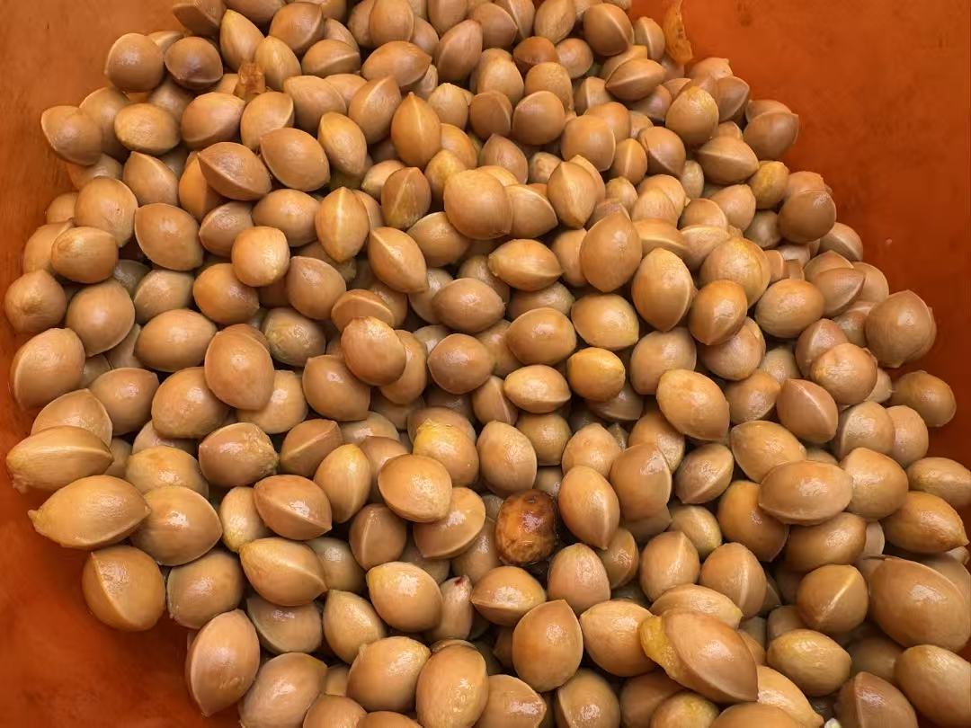 7efdba2f3cf62a89ff9f73fc62ea52d3