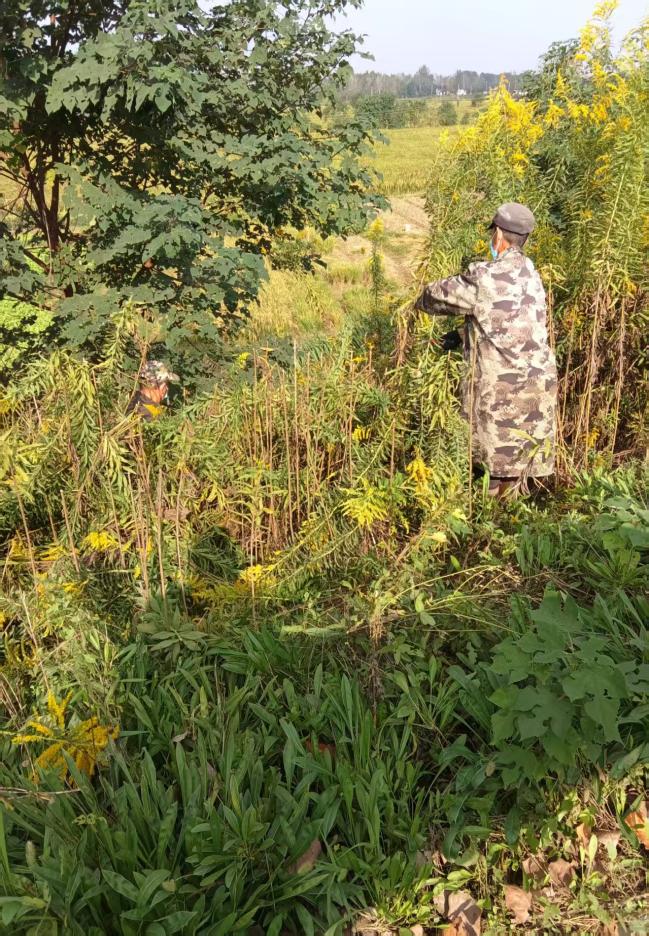 2c7ea7813ab3092117e640077b325a3