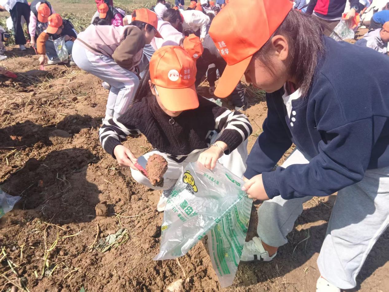 00bfe3238b851c7c4726e00ead2f68fe