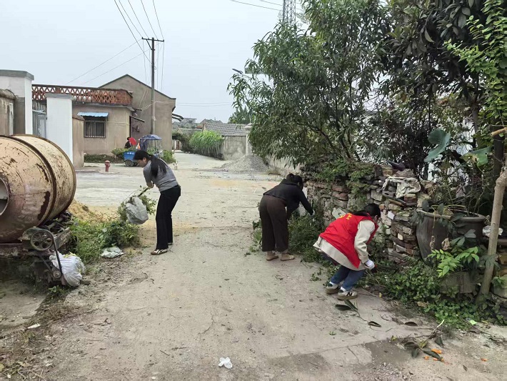 微信图片_20251022165339_266_12