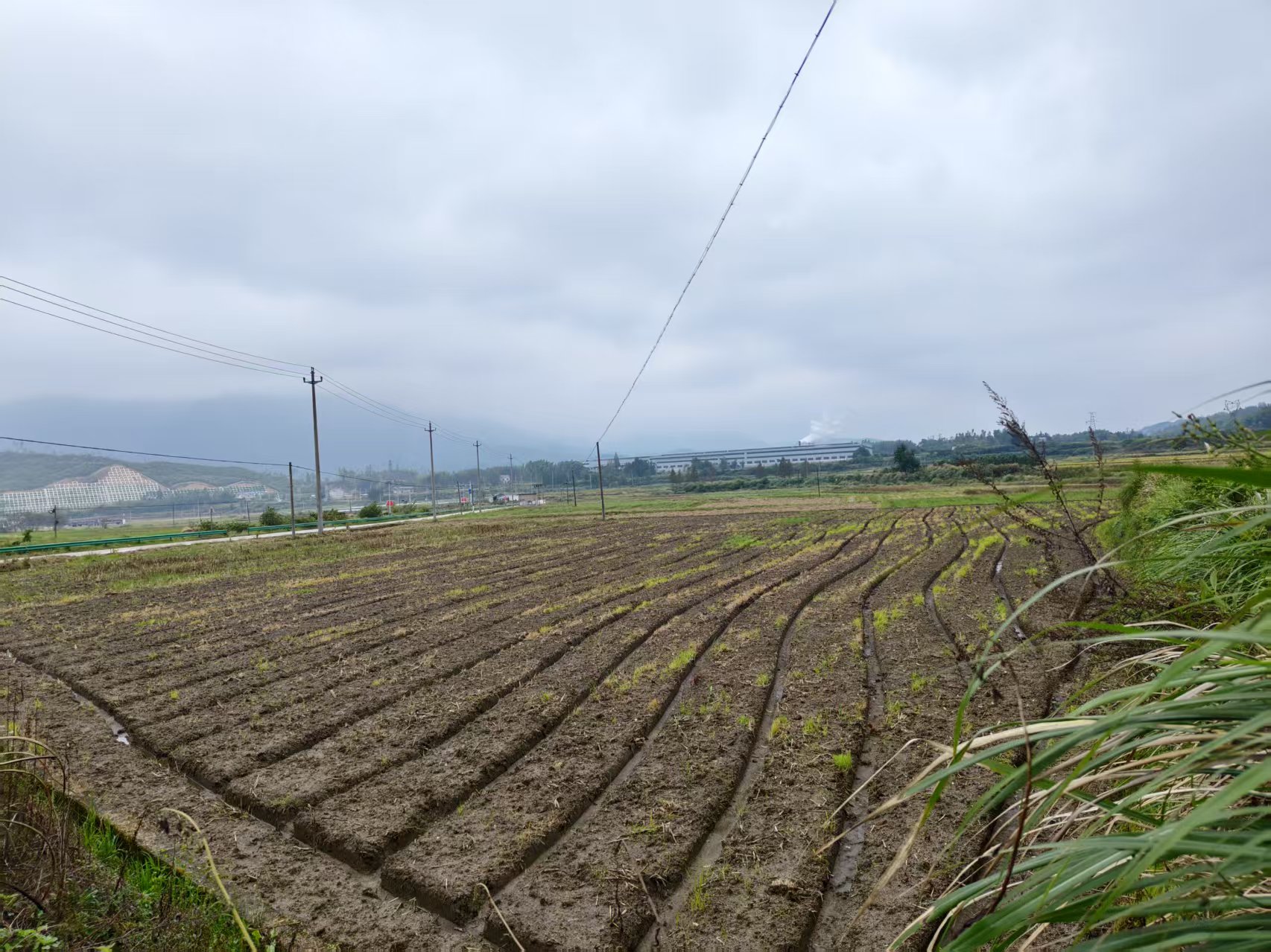 c3bb860c67cf9f10fd81266ee5e10dca