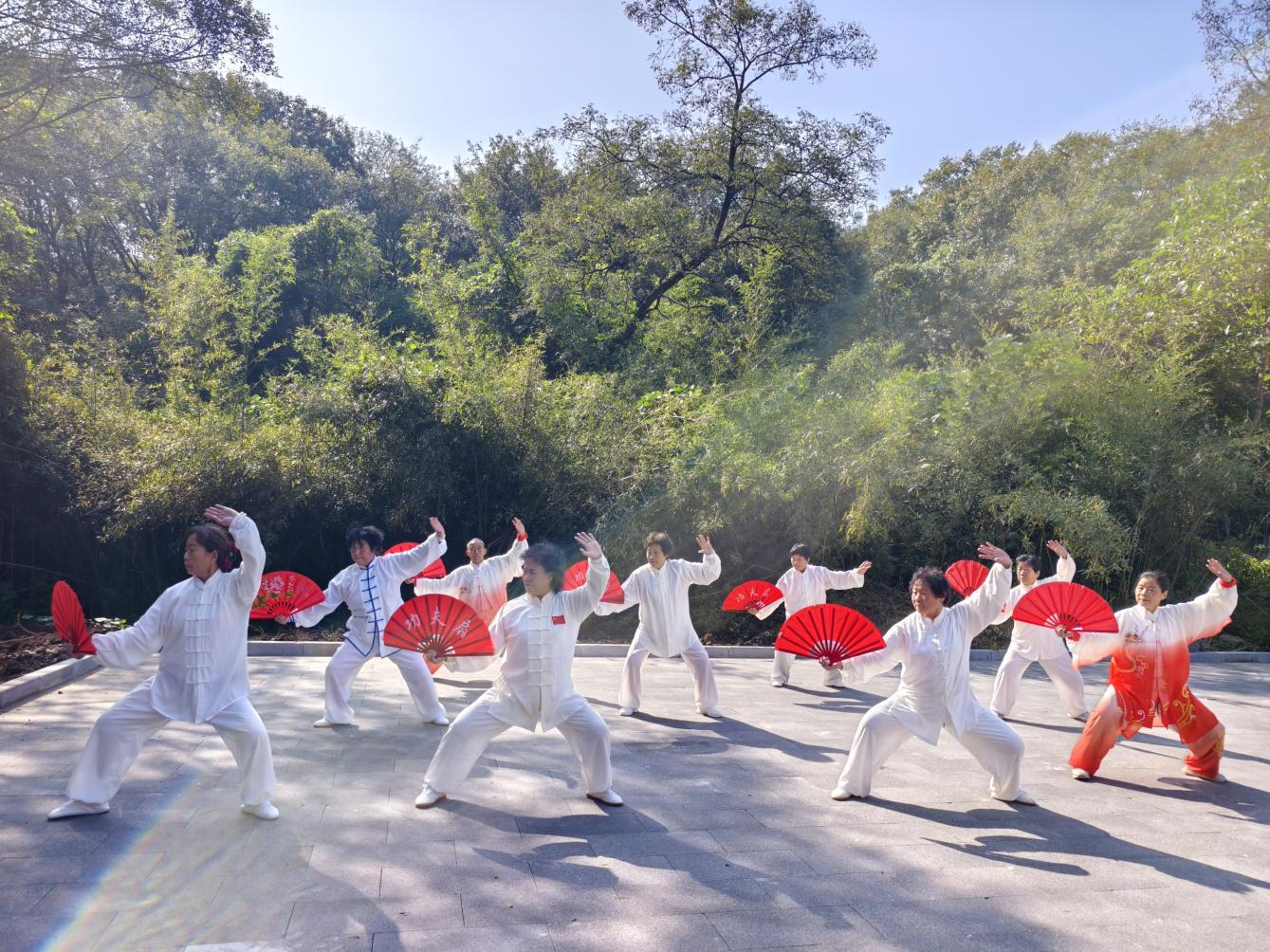 9370ec76967a67c015a7c5c7de5be4f