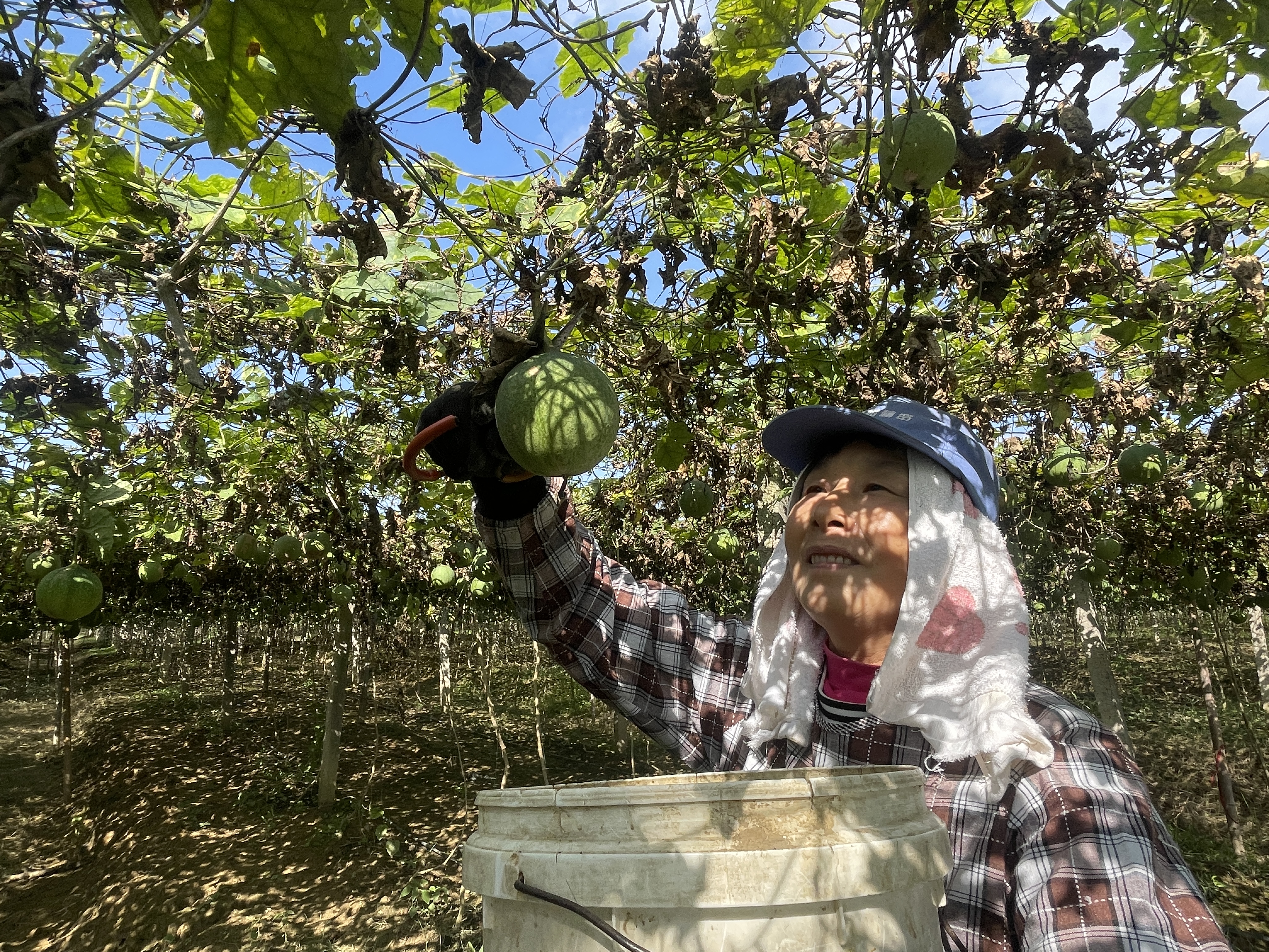 74b009ccb79809530cb370507dabad42