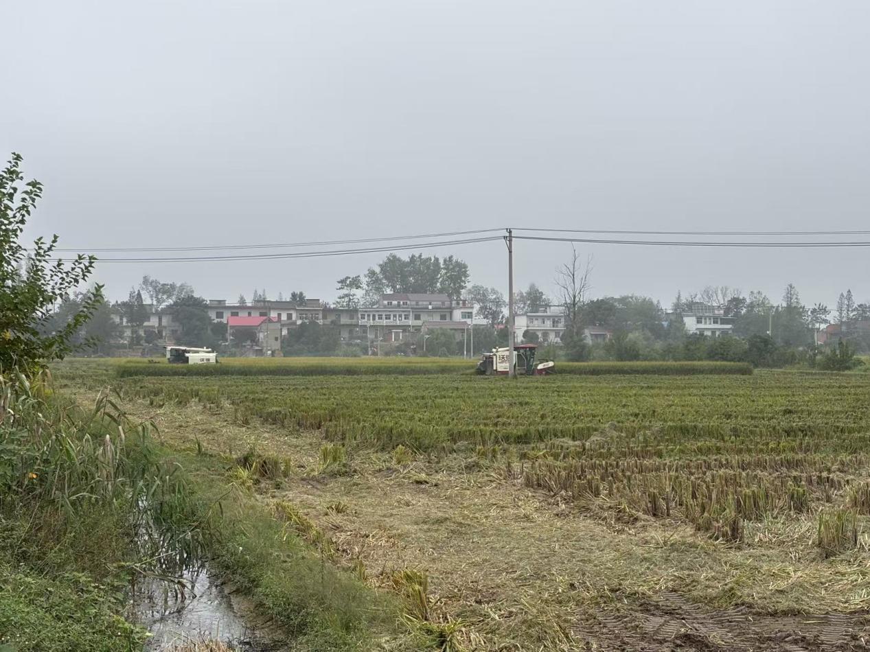 fb329564b9a4873e899ae242ed20e90a