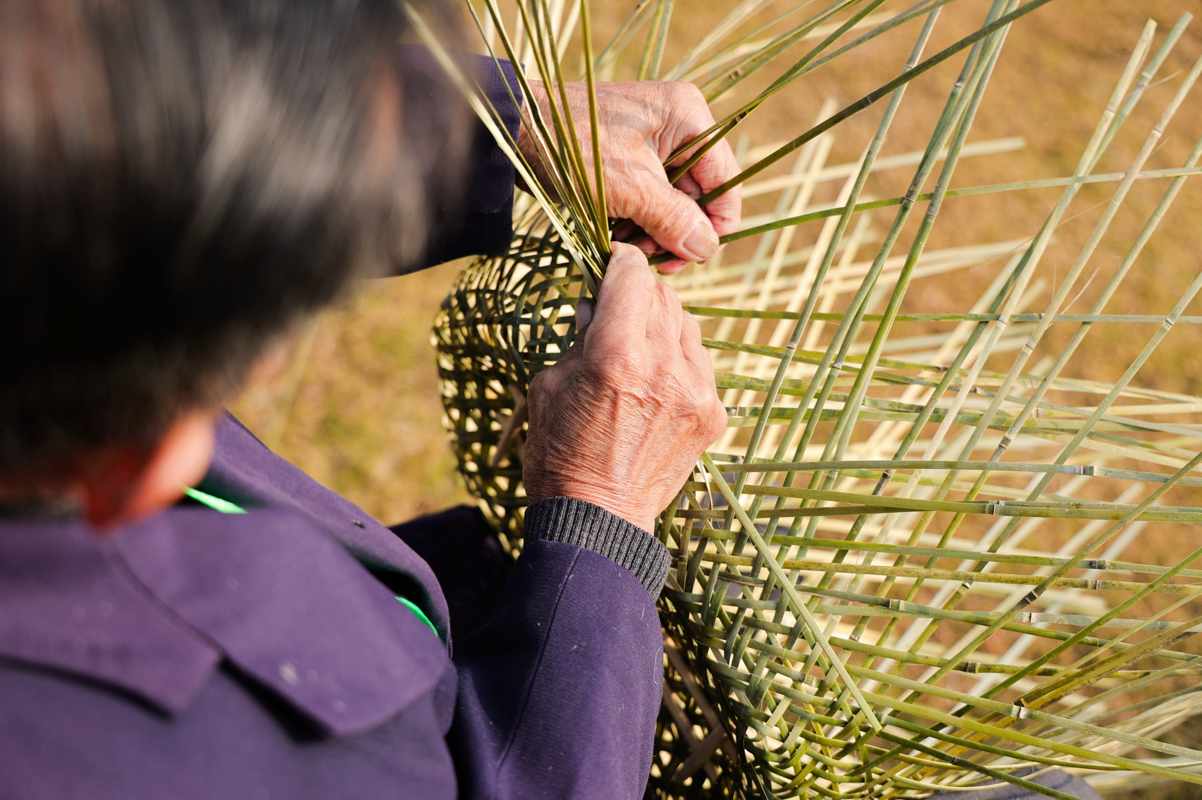 8S9A1299-opq4070667474