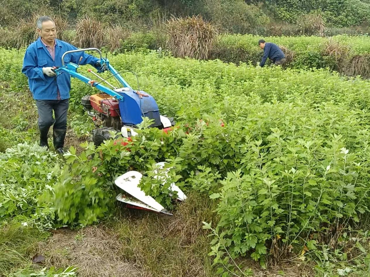 a8bb974d0698b1f203d92d83e562ce52