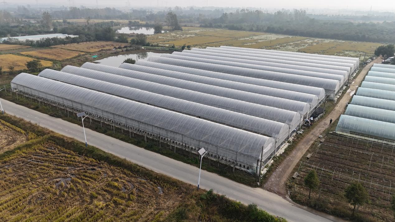 b8c8b9fa6f3cd13fc7ef4f902d211dcd