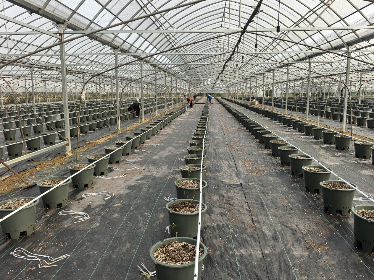 617c7fbffb734e9b7cfa11b5b7487e94