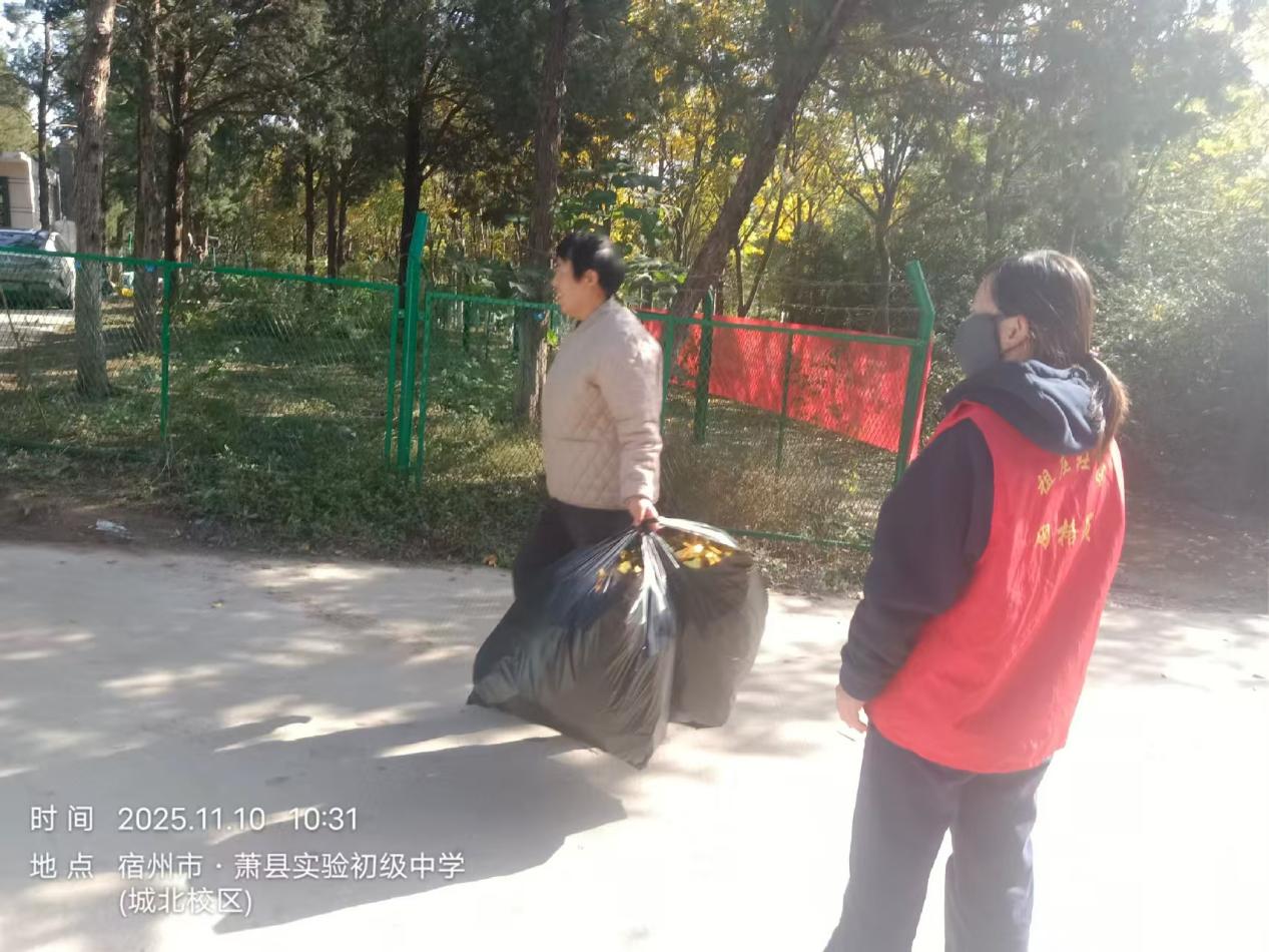 ae00360a821a480f7838406a1bce2e3b