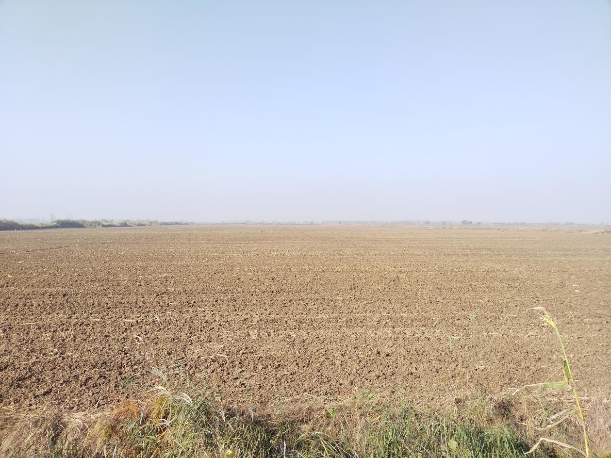 微信图片_20251110111312