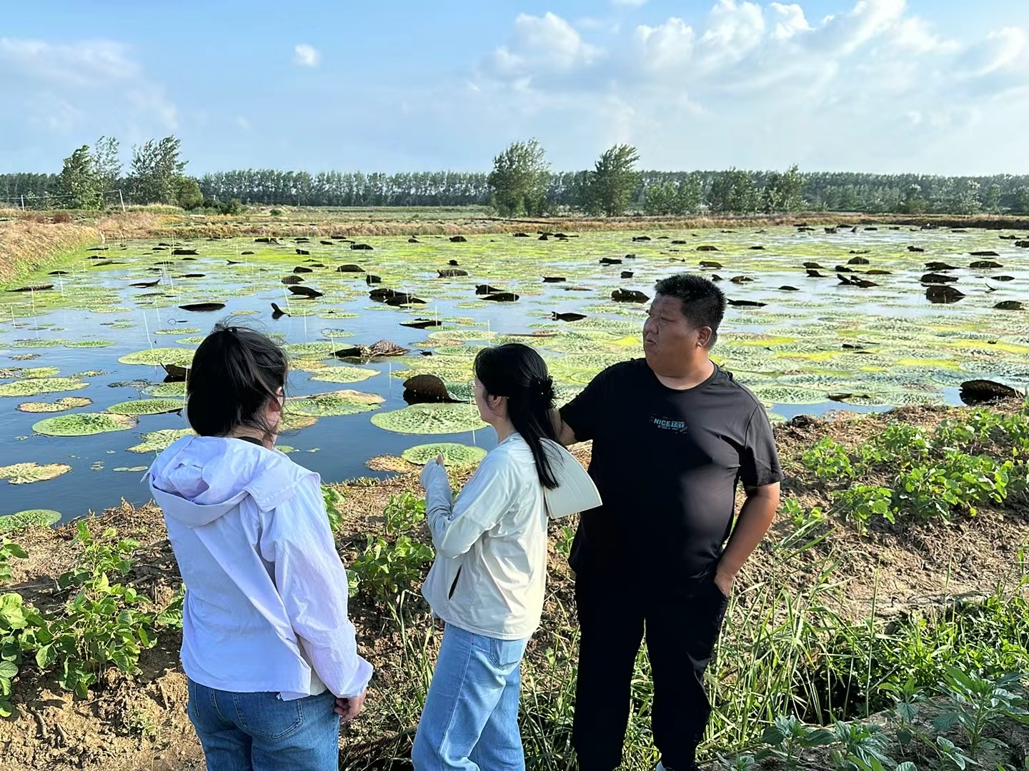 f01073678d0bb5acc7c3a3862744a5dc