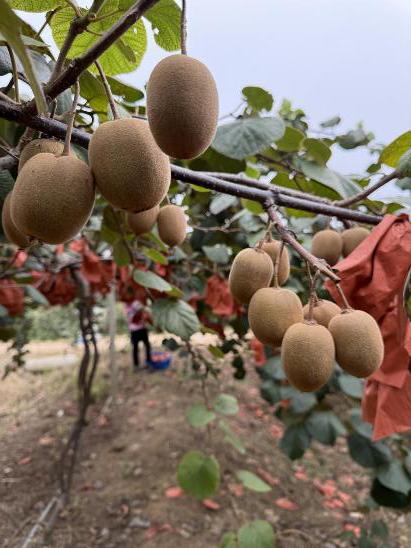 3573b1d8c5217e490e2647c311c13305