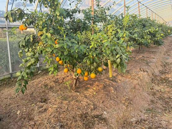 622e2a707ce343e0477a02137cf528f1