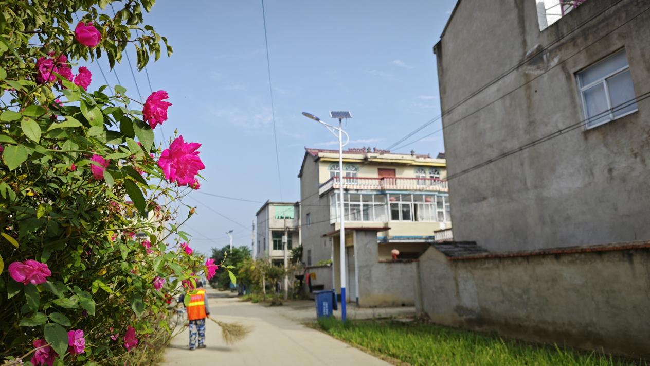 767828376a48ff95181be2cea45311a