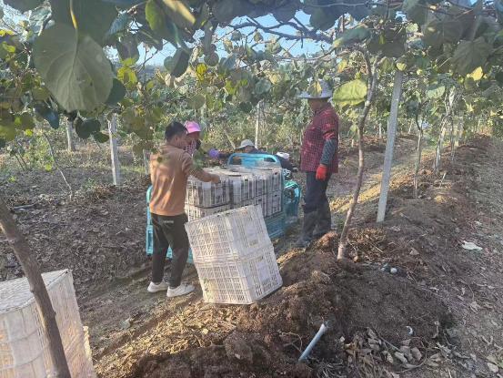 4e1830f9308754399bd962d78d0a7af6