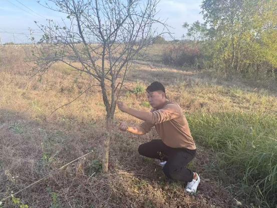 a5d0b9d4c045aca97c805ea32550a877