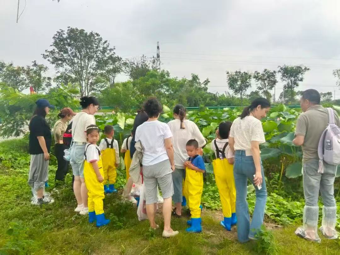 3d4d2cd56f22eedece02939b702f984b