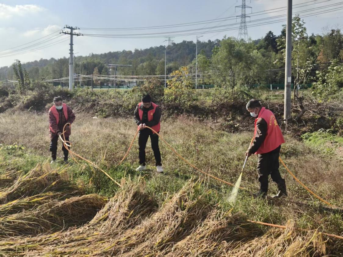 3b38e3ab54ca47876884e8618734c0d6