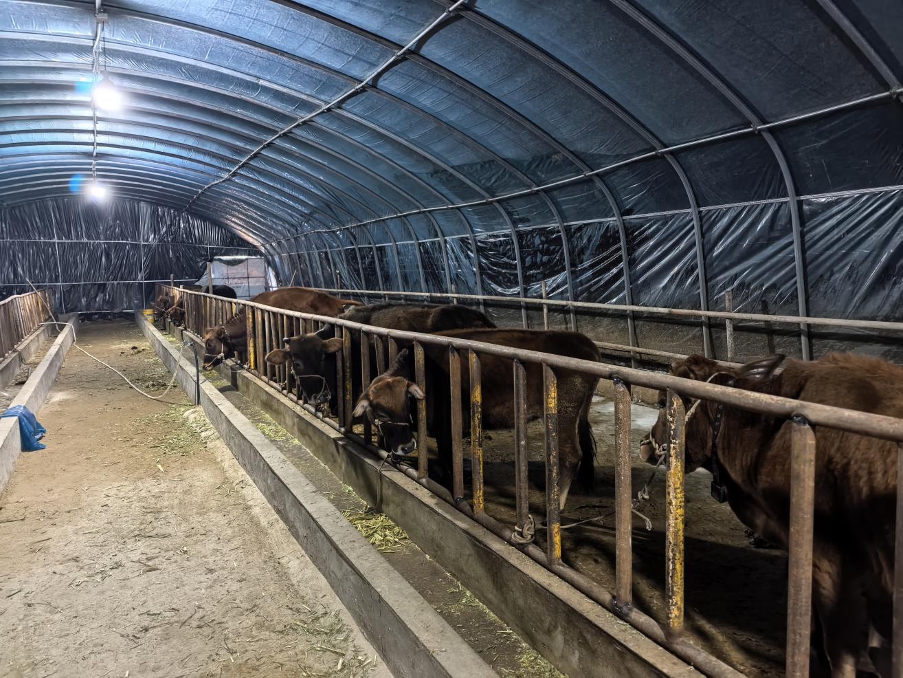 5ce3414503c7acfd28e06680ca1c47bb