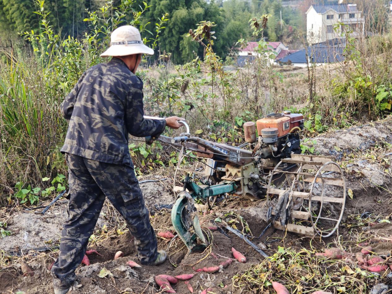 a8b7b6e9daf07c9abcc929759f1c707