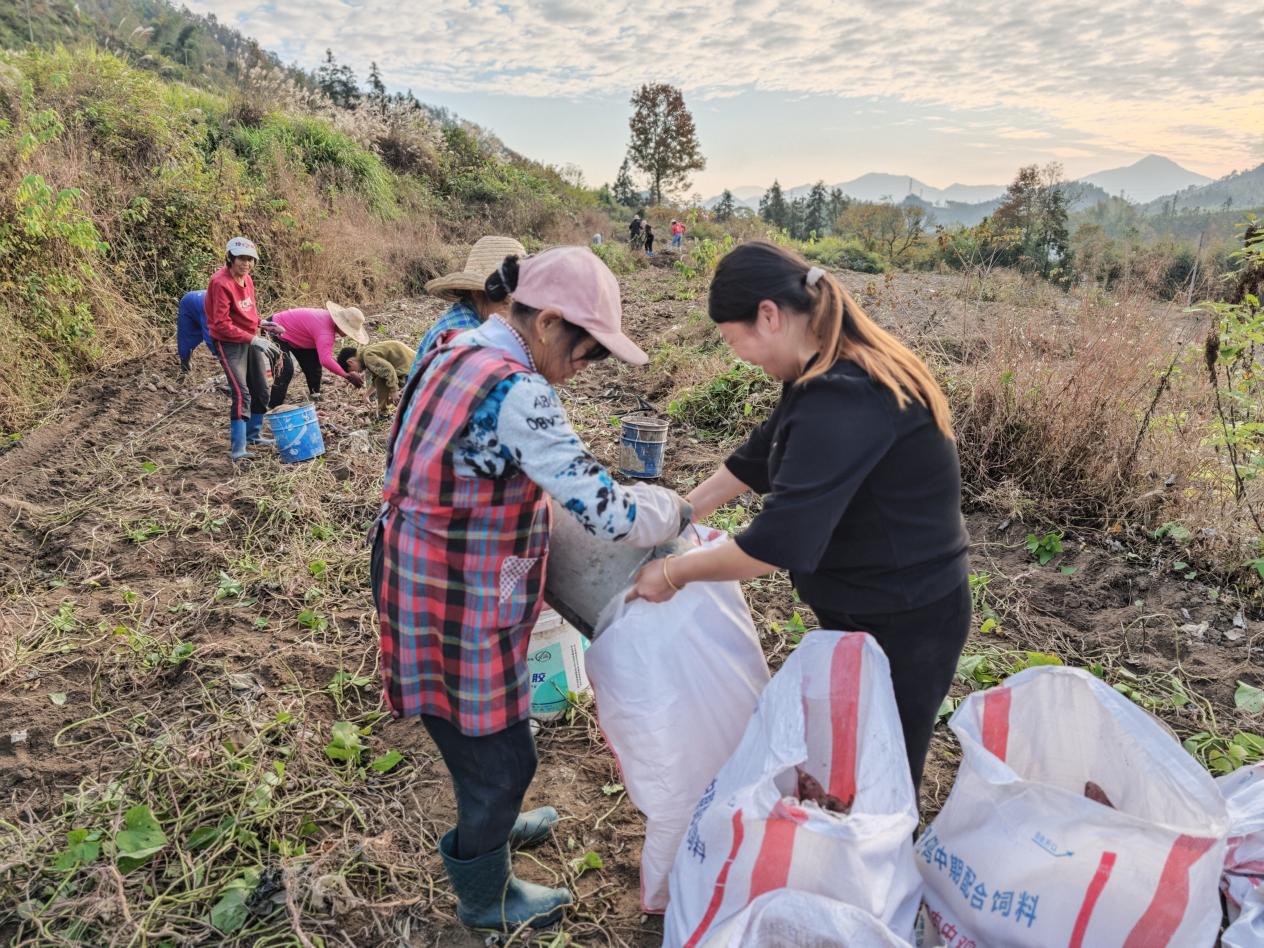 7c2f6ad5ae6e69740866b64cba61e79