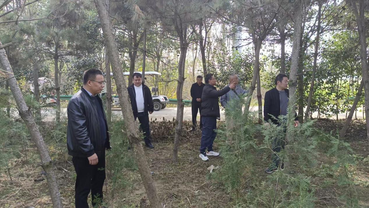 7ca02e3f46f787bf0aca404097123539