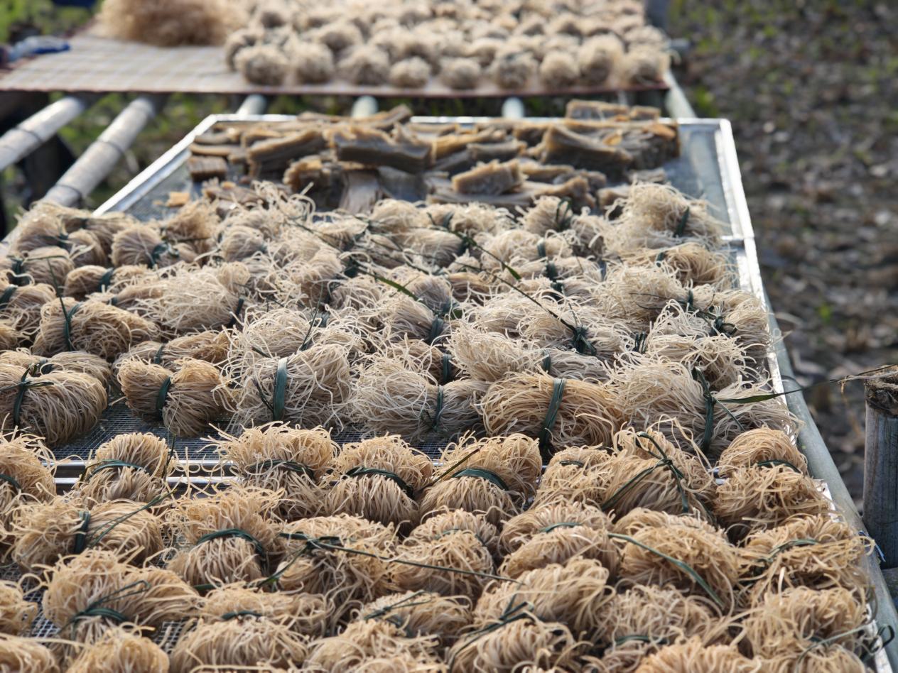 5c810672ff6b17e50de1c7e704c8cfb