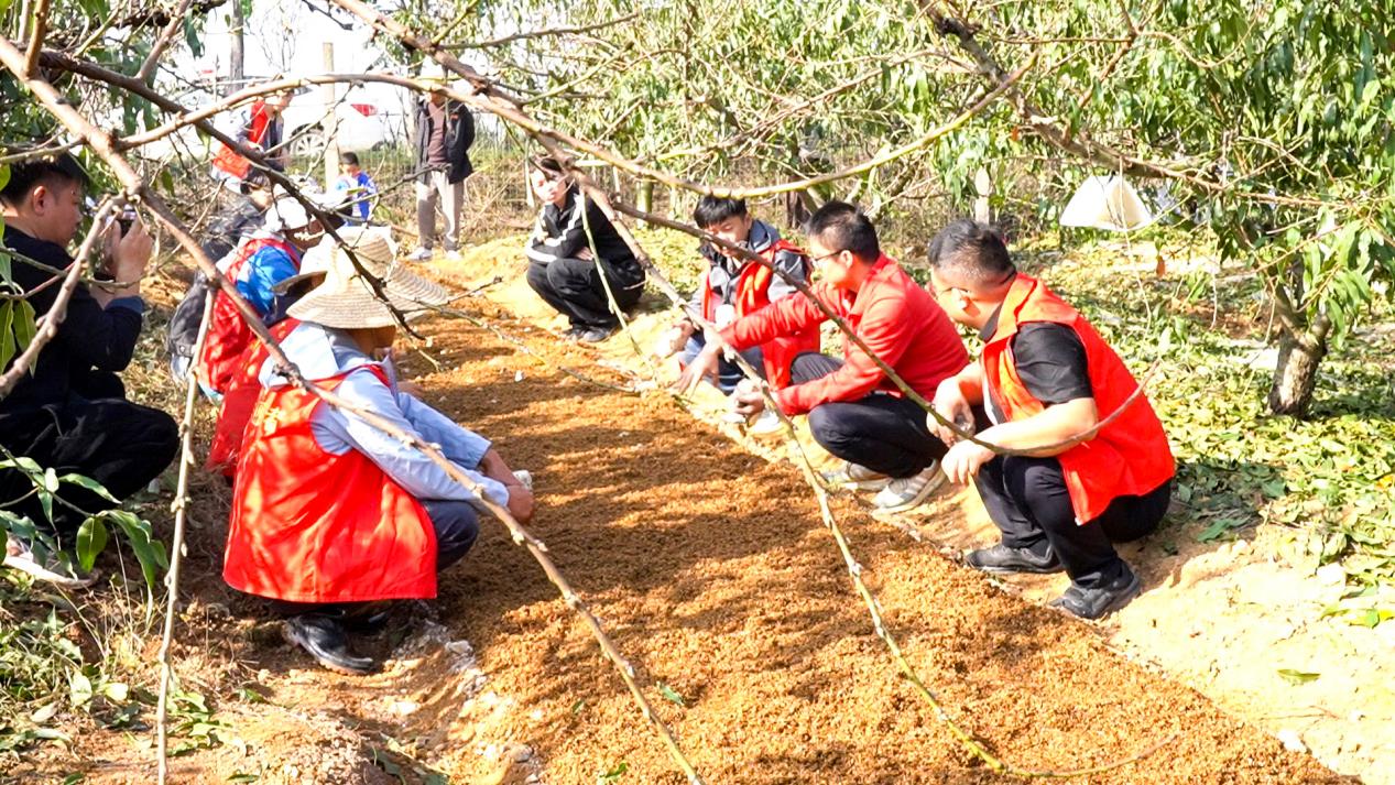 C0044.MP4_snapshot_00.04_[2025.11.20_11.03.33]