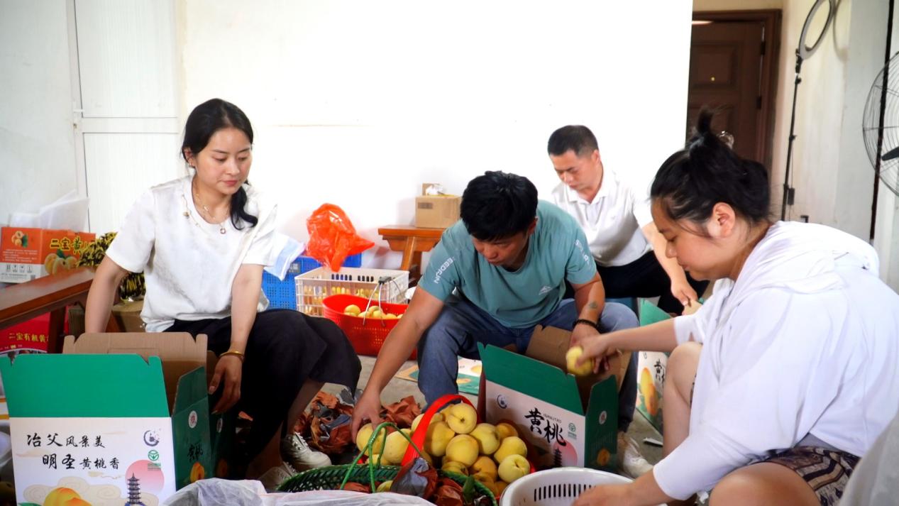 Clip9278.MXF_snapshot_00.10_[2025.08.25_16.38.25]