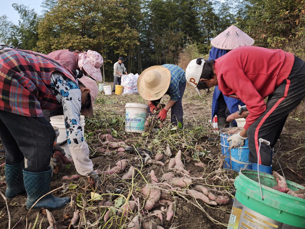 bee51d479dc84e7d97c2dd6ffa1e7c9